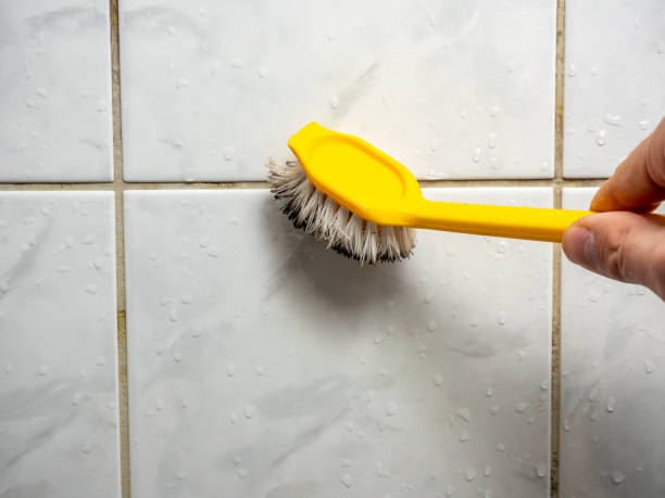 Best Health and Safety Mold Remediation in Forest Oaks, NC
