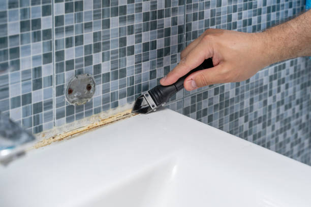Best Residential Mold Remediation in Forest Oaks, NC