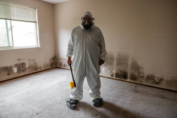Best Emergency Mold Remediation in Forest Oaks, NC